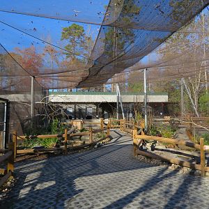 Birds of Paradise Aviary