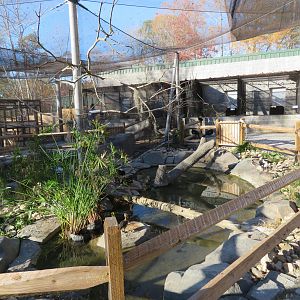 Birds of Paradise Aviary