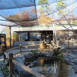 Birds of Paradise Aviary