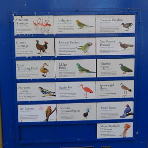 Feeding Aviary Signage