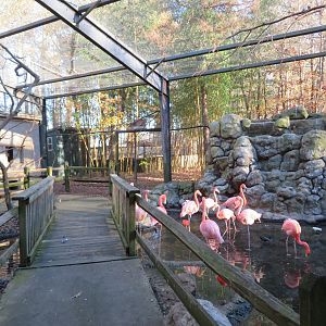 Inside of Feeding Aviary