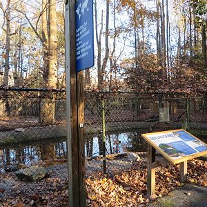 White-winged Duck Aviary