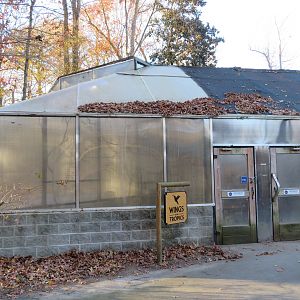 Wings of the Tropics