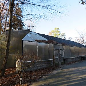 Wings of the Tropics