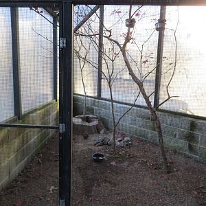 Burrowing Owl and Green Jay Enclosure