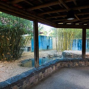 Jan. 2022 - Land of the Tiger - Komodo Dragon Exhibit