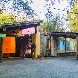 Jan. 2022 - Land of the Tiger - Komodo Dragon Exhibit