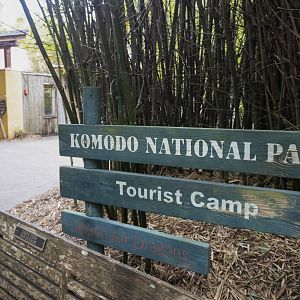 Jan. 2022 - Land of the Tiger - Komodo Dragon Exhibit