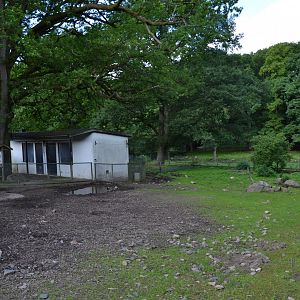 Enclosure for Linderöd pig at Skånes djurpark