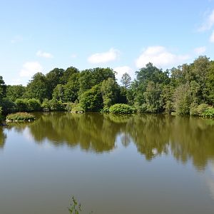 Bird lake at Skånes djurpark