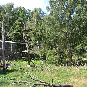 Lynx enclosure at Skånes djurpark