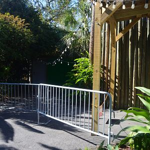 Primates - Blocked Path