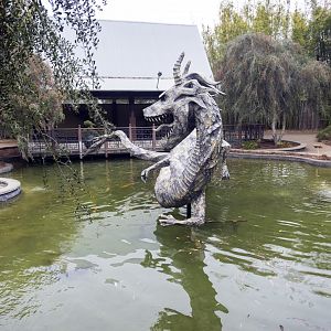 Jan. 2022 - Asian Bamboo Garden - Koi Pond