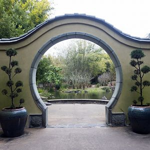 Jan. 2022 - Asian Bamboo Garden Entrance