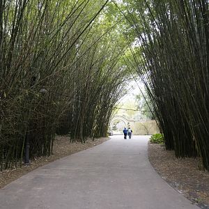 Jan. 2022 - Bamboo Trail to Land of the Tiger