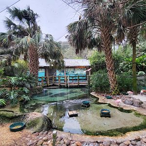 Jan. 2022 - Range of the Jaguar - Emerald Forest Aviary (17 Species)