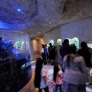 Fomer Yapok exhibit and wall of terrariums- River Delta