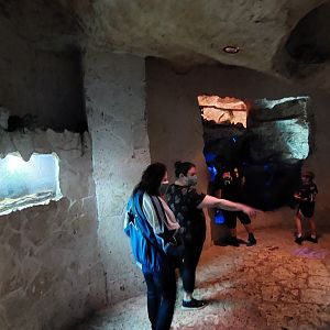 River Delta overview