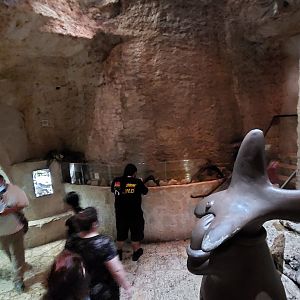 River Delta overview