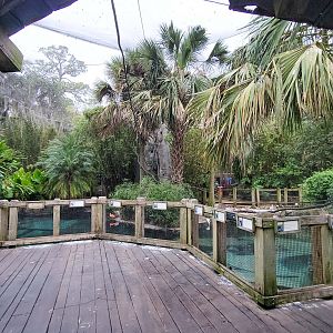 Jan. 2022 - Range of the Jaguar - Emerald Forest Aviary (17 Species)