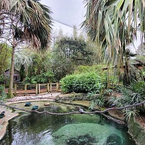 Jan. 2022 - Range of the Jaguar - Emerald Forest Aviary (17 Species)