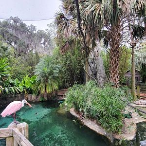 Jan. 2022 - Range of the Jaguar - Emerald Forest Aviary (17 Species)