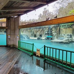 Jan. 2022 - Range of the Jaguar - Emerald Forest Aviary - Giant Otter Exhibit