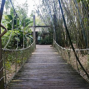 Jan. 2022 - Range of the Jaguar - Bypass Bridge