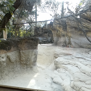 Jan. 2022 - Range of the Jaguar - River's Edge - Capybara/Arrau Turtle/Blue-billed Curassow Exhibit (empty)