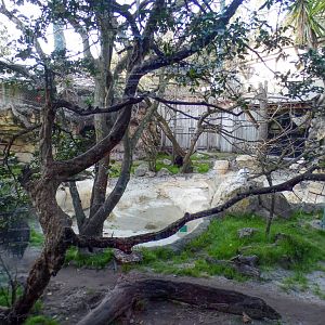 Jan. 2022 - Range of the Jaguar - River's Edge - Giant Anteater/Squirrel Monkey/Black Howler Exhibit