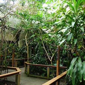 Graham amazon gallery