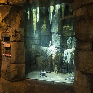 Jan. 2022 - Range of the Jaguar - The Lost Temple - Vampire Bat Exhibit