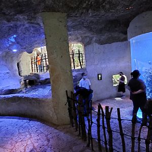 Mundo Maya Marine Creatures overview