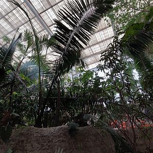 Mundo Maya Main Atrium