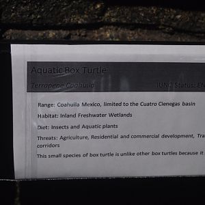Range of the Jaguar - Aquatic Box Turtle Signage