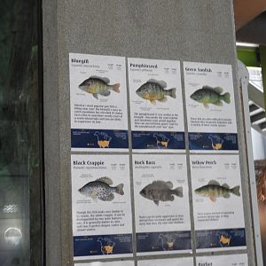 Signage Example