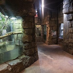 Jan. 2022 - Range of the Jaguar - The Lost Temple - Middle View