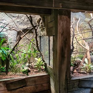 Jan. 2022 - Range of the Jaguar - The Lost Temple - Puffing Snake Exhibits