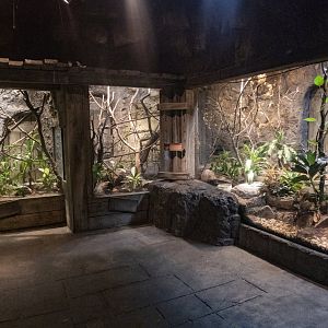 Jan. 2022 - Range of the Jaguar - The Lost Temple - Puffing Snake + Bushmaster Exhibit