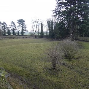 Mixed South America paddock grass paddock