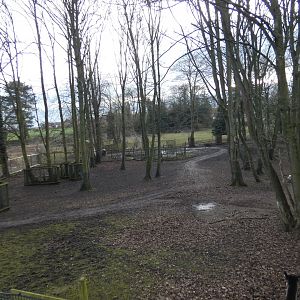 Mixed South American exhibit wooden paddock (2)