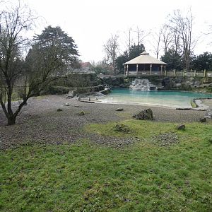 Penguin enclosure