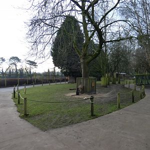 Wallaby walk-through