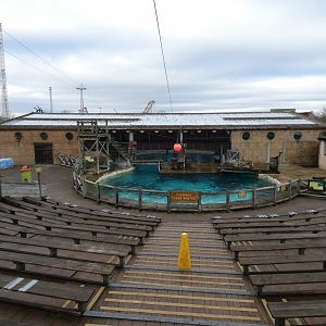 Sea lion arena