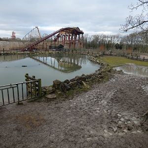 Hippo enclosure