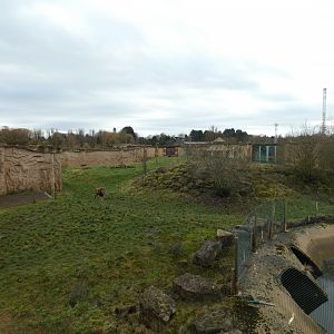 Lion enclosure