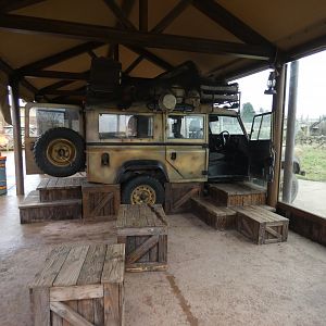 Cheetah viewing area