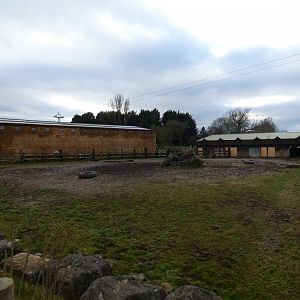 White rhino hard-standing