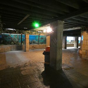 View in Aquarium