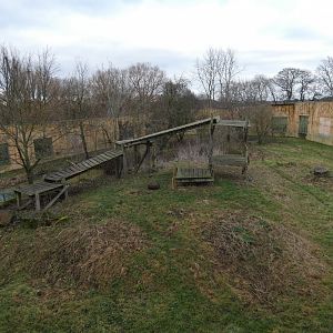 Sumatran tiger paddock